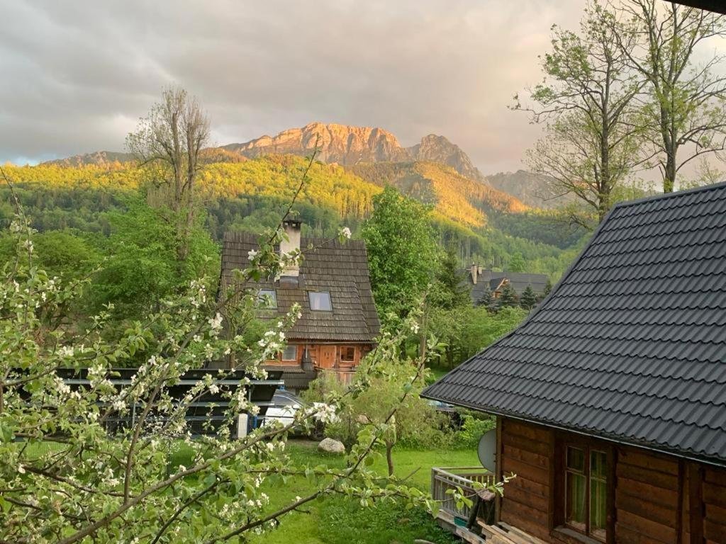 Domek Sekret Zakopane Esterno foto