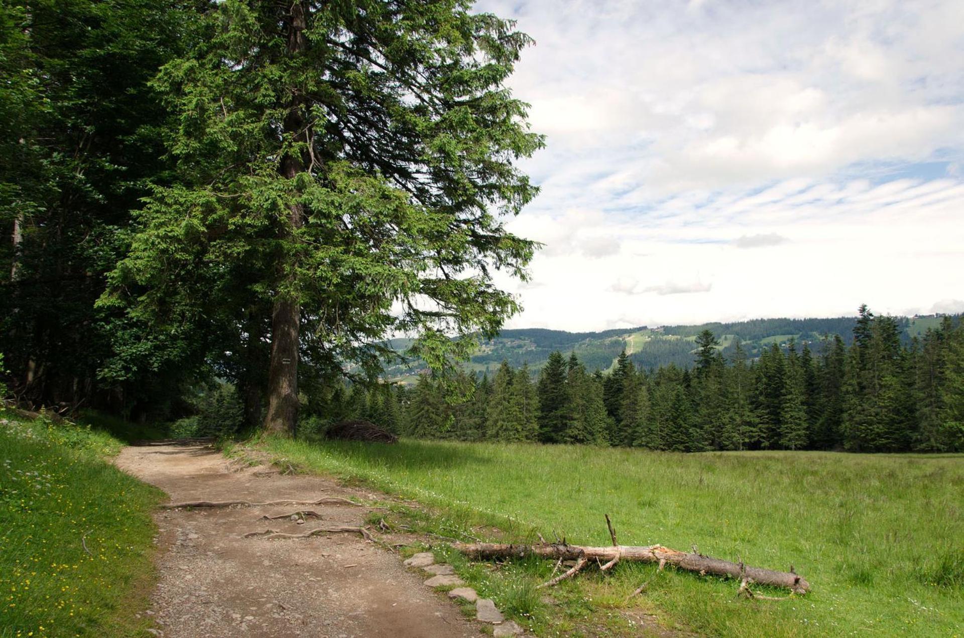 Domek Sekret Zakopane Esterno foto